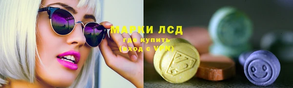 ECSTASY Алзамай