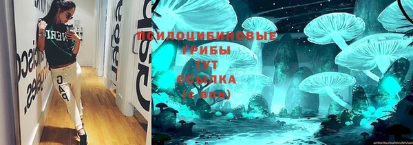 бутират Алексин