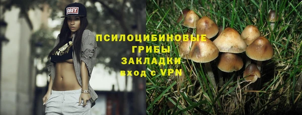 бутират Алексин