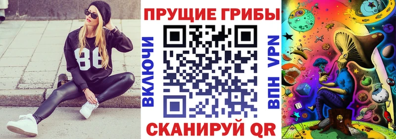 Псилоцибиновые грибы MAGIC MUSHROOMS  Навашино 